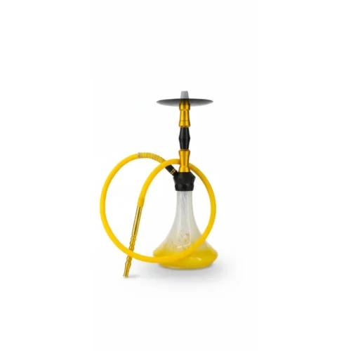 1000000020762.webp Hookah-HK/STM-02