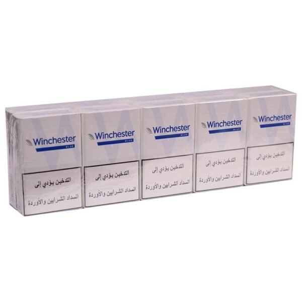 1B2A9943-copy.jpg Winchester Light Carton - Pack of 10