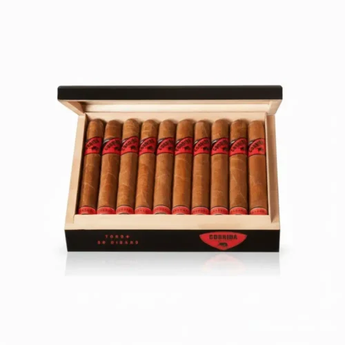 Camacho-Corojo-Robusto-box.webp Corrida Honduras Robusto Plus