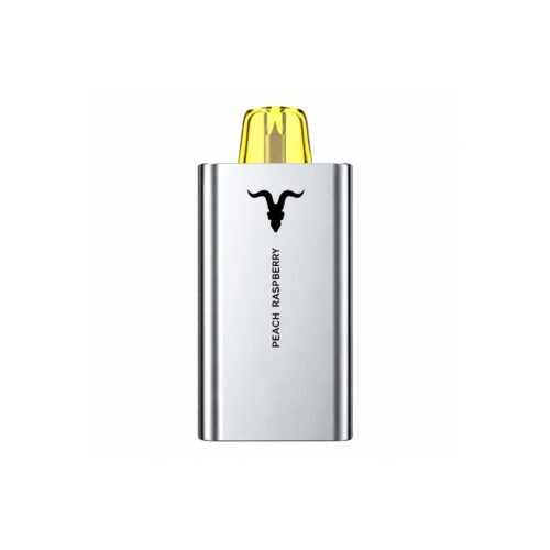 Ignite V50 Peach Raspberry Rechargeable Disposable Vape