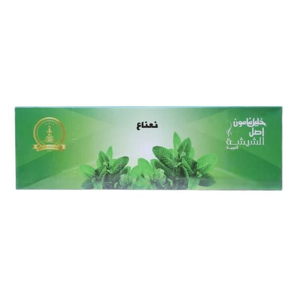 Khalil Maamoun Mint