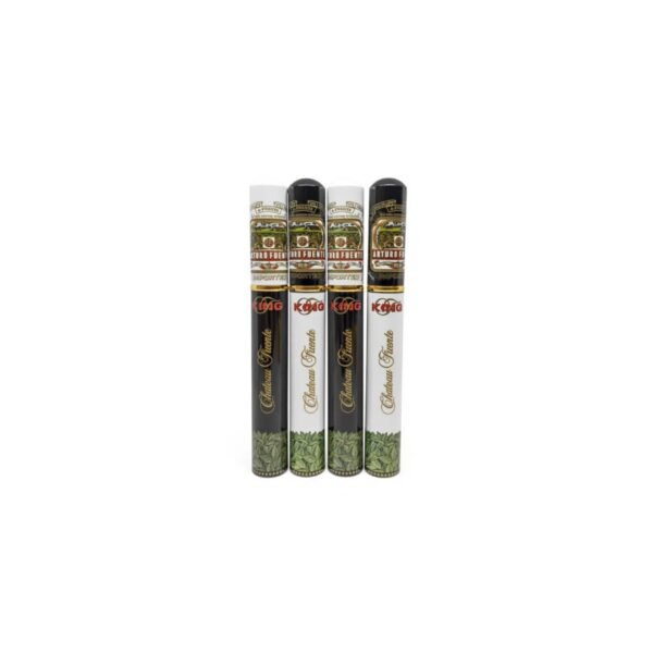 042400530-2 Arturo Fuente Chateau Fuente King T