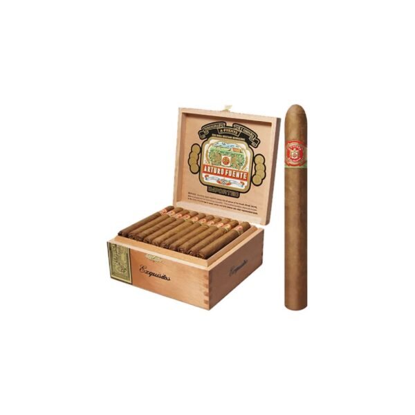 042400547-1 Arturo Fuente Exquisitos Natural Box of 50 Cigars
