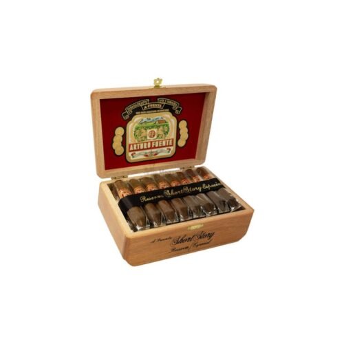 042400560-1 Arturo Fuente Hemingway Short Story