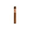 042400568-2 Arturo Fuente Rosado Sungrown Magnum R 54